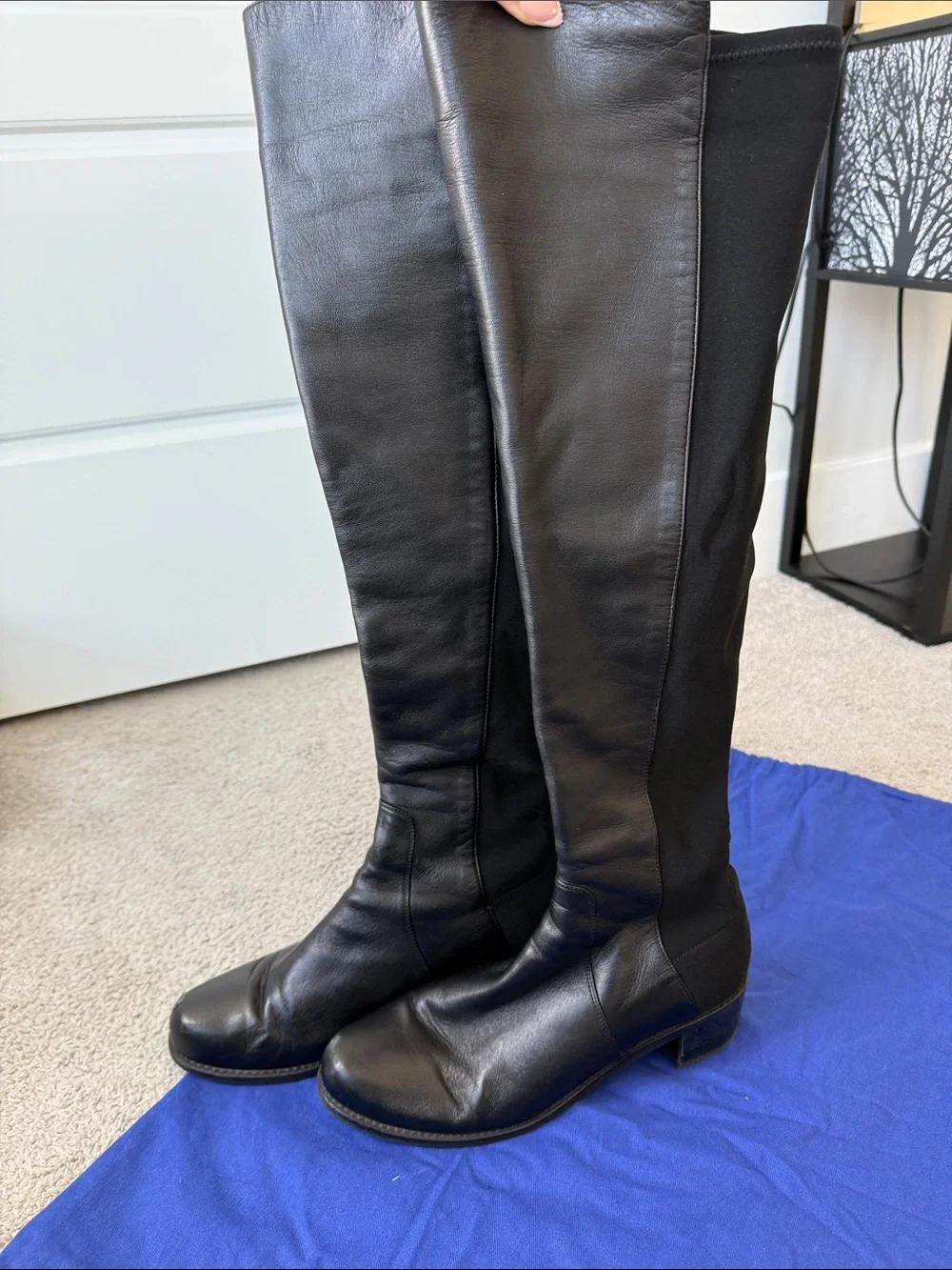 Stuart Weitzman elegant over